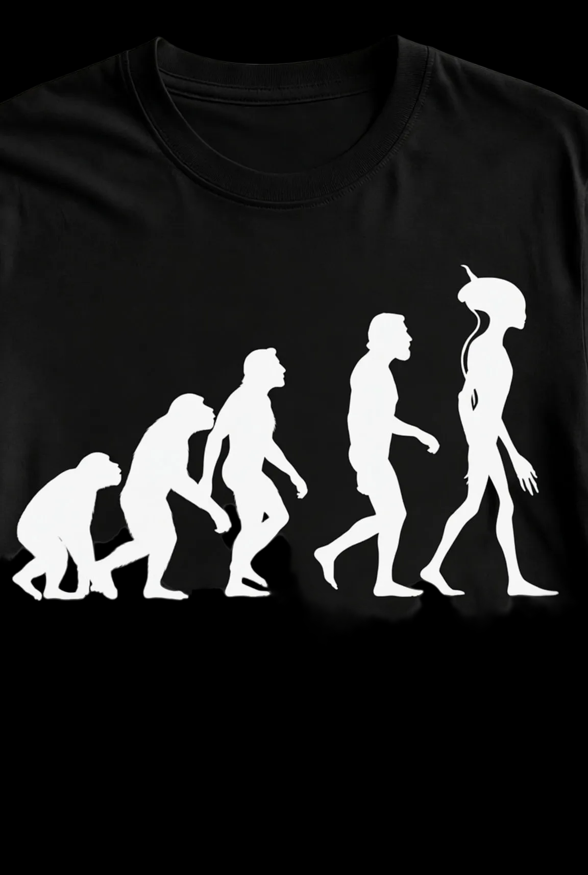 Human Evolution